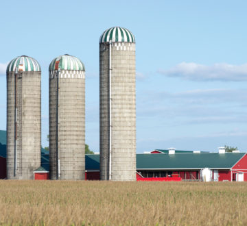 Canadian dairy farm