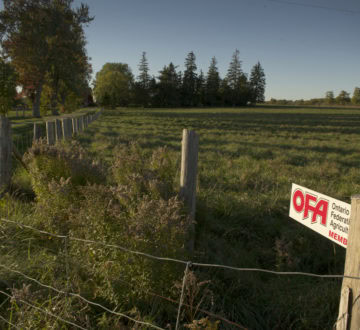 OFA member gate sign - farm scene