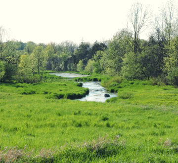 Stream - waterway