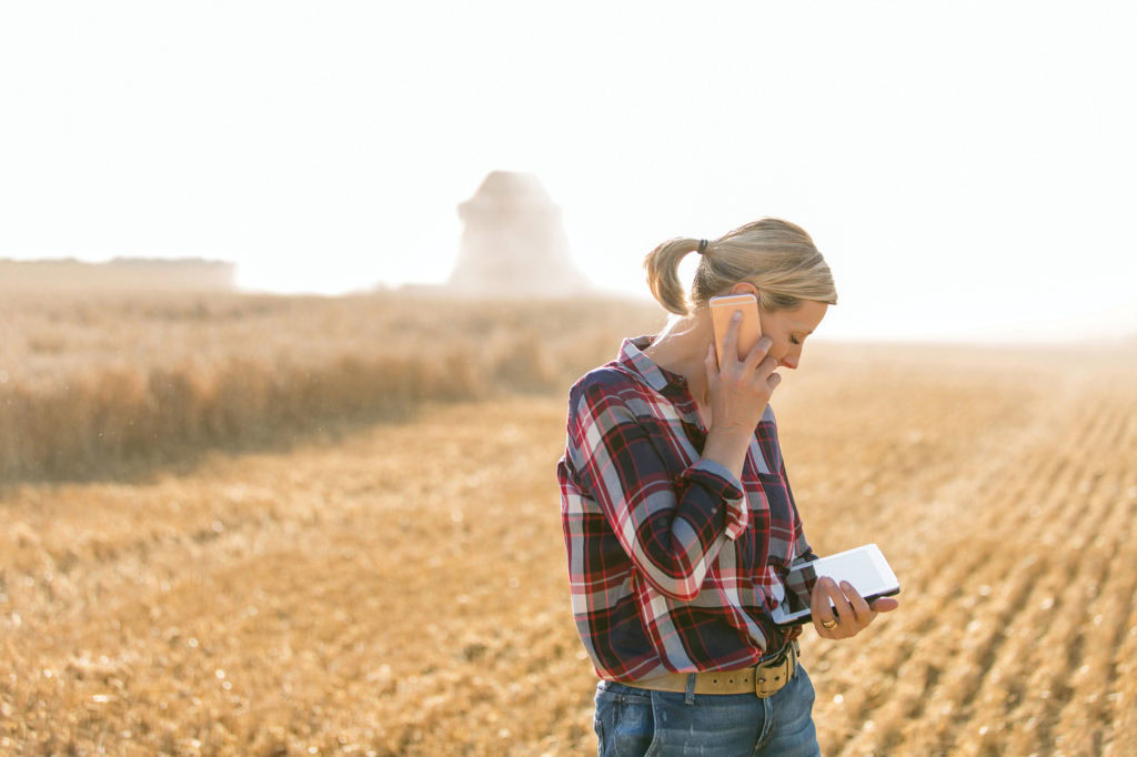 Female farmer with tablet on her wheat field