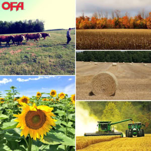 Proud to Farm Photo Contest Collage