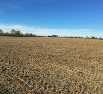 Ontario farm field