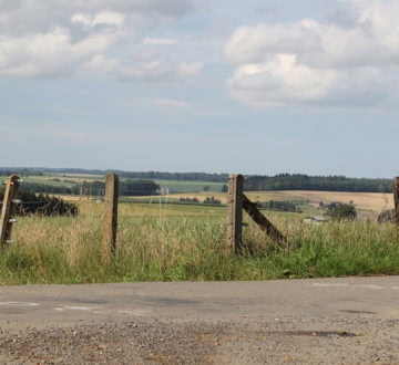 Line Fences and Highways