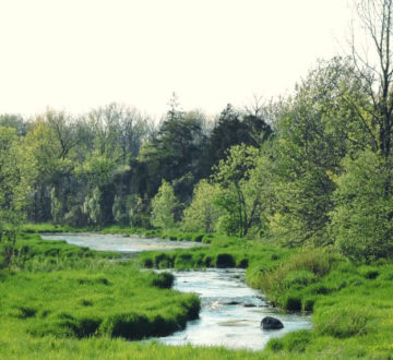 Water Stream