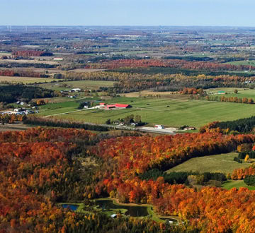 Rural Ontario landscape