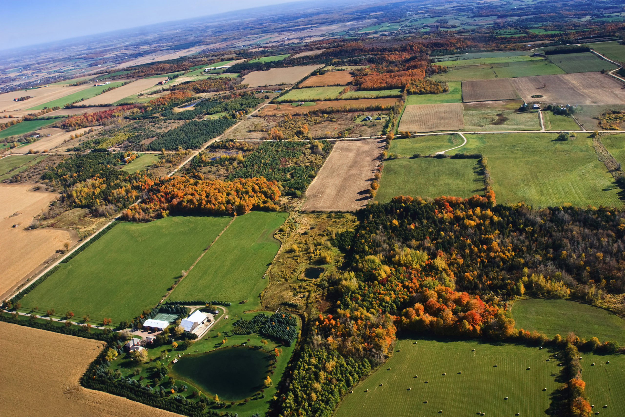 Agricultural Land