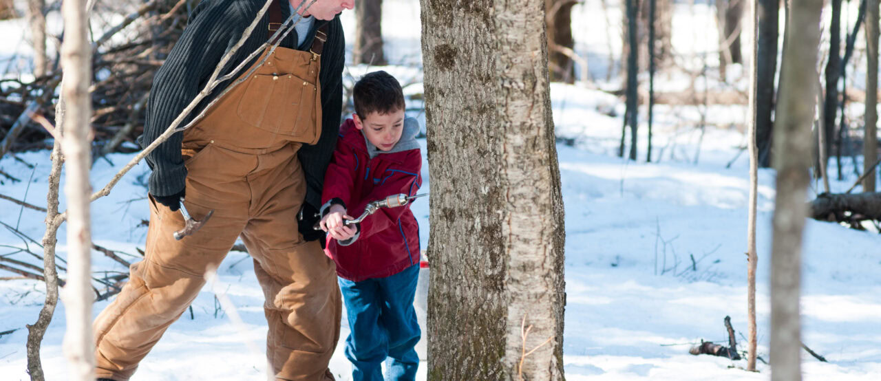 Reports show agritourism activities ripe for growth in Ontario