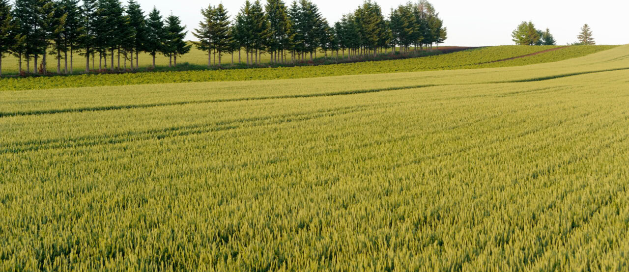 Farmers invest back into their communities by supporting local projects