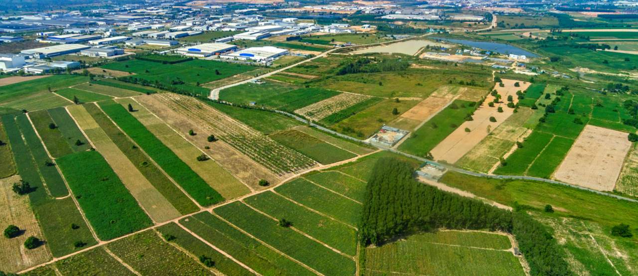 Farmers welcome government decision on farmland severances