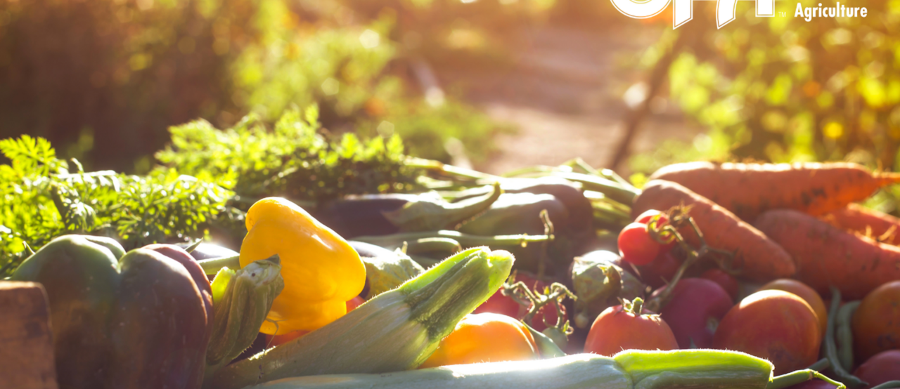 Enjoy the bounty of Ontario’s freshness during Local Food Week