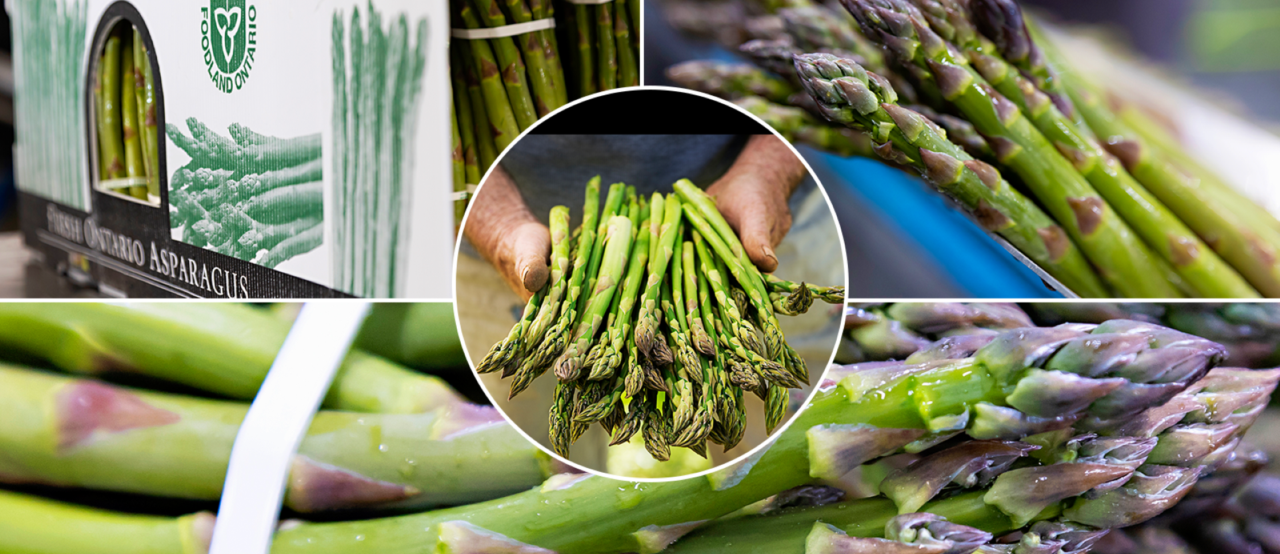 Spring into local: Ontario’s fresh food season kicks off with asparagus