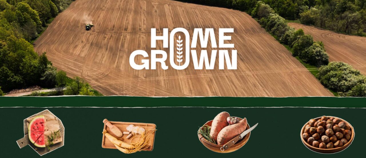 From watermelon to wool: Ontario farms produce more than you think