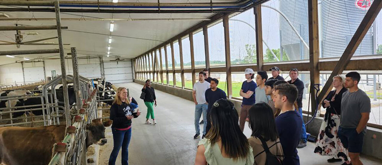 From field to stethoscope: Ontario farm leaders help future doctors experience rural life