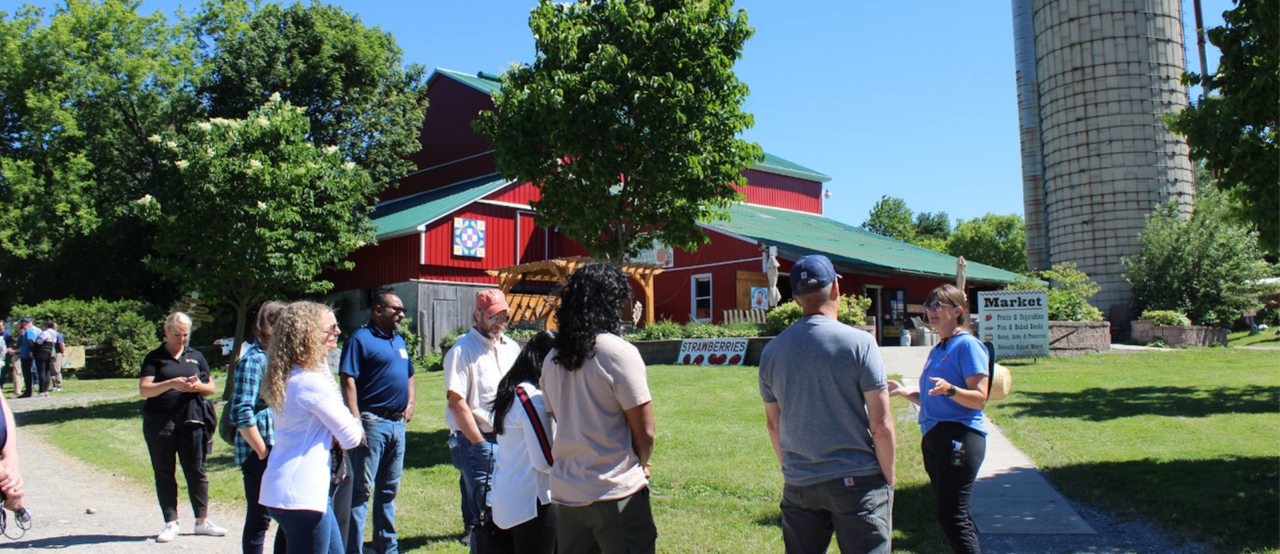 Ontario farmers are growing more than food